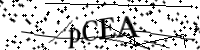 Transcreva o código